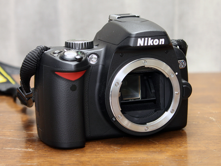 Nikon D60 ǥե2