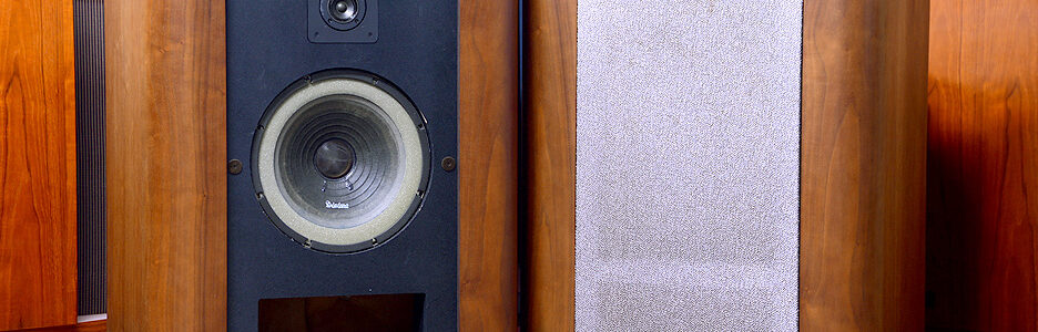 DIATONE 2S-305D スピーカー